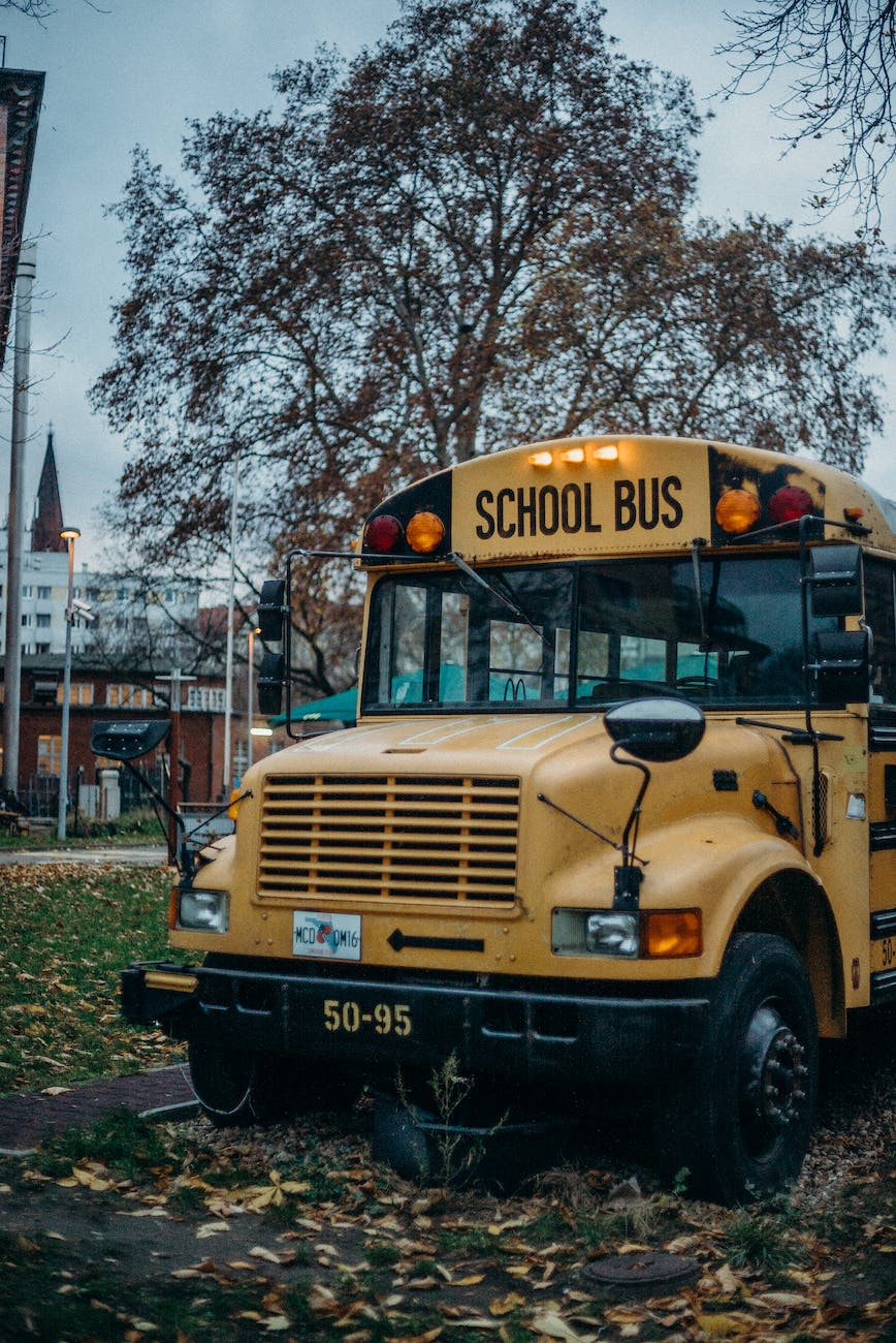 yellow school bus on road